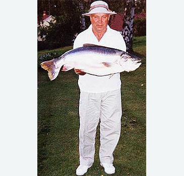 Record photograph for Salvelinus umbla